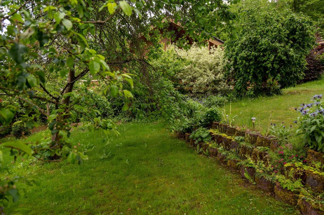 Ferienhaus Weitblick Altenbrak Exterior foto